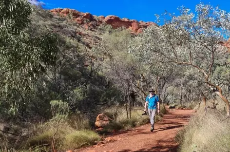 Kings Canyon - parc national de Warrtaka