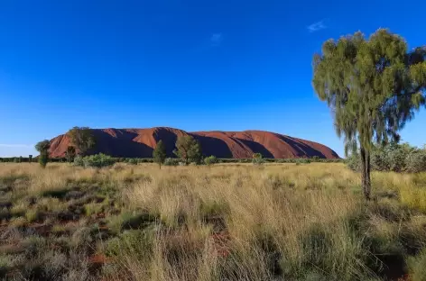 Uluru - Ayers Rock - Australie