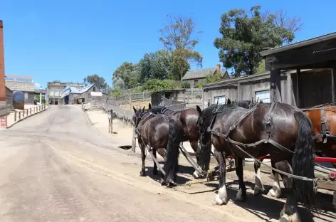 Sovereign Hill - Ballarat - Australie