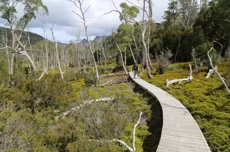 Parc national de Cradel Mountain - Tasmanie
