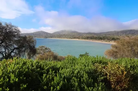 parc de Freycinet - Tasmanie