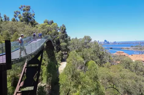 Le jardin botanique de Kings Park - Perth - Australie