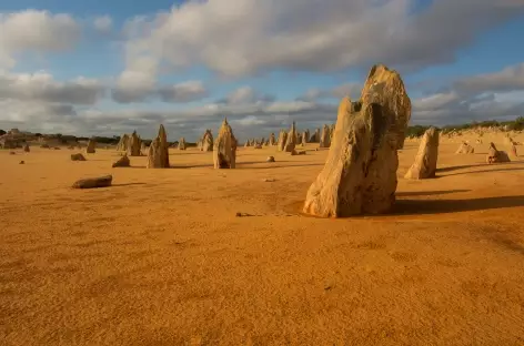 Désert de Pinnacles (c) Cassandra Moons_Istock - 