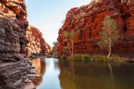 Gorge Knox, PN Karijini - 