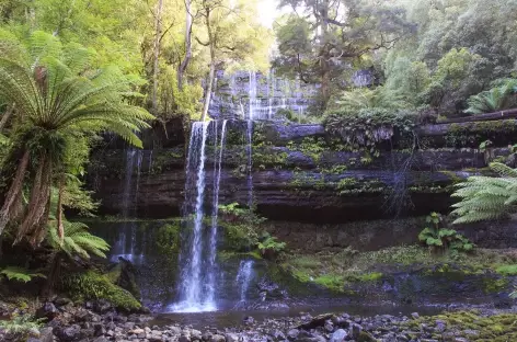 Russell Falls_Mount Field National Park_Tasmanie - 