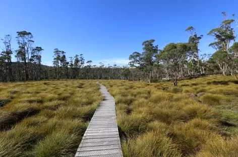 Sentier, Cradle Mountain, Tasmania - 