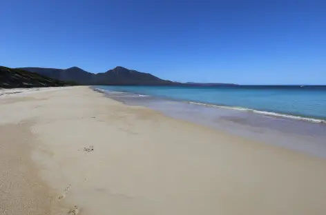 Wineglass Bay Beach, Freycinet PN, Tasmania