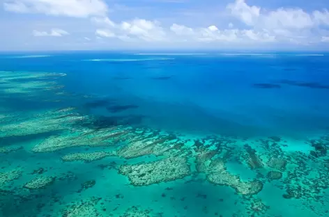 Grande barrière de Corail_Australie - 