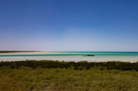 Broome