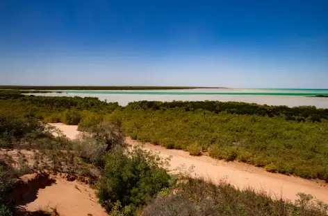 Broome