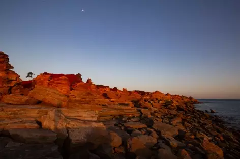 Broome