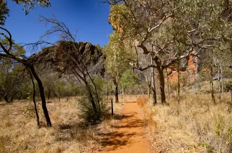 Fitzroy Crossing - Bell Gorge