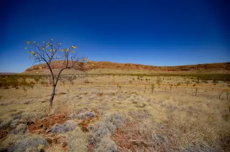 Bell Gorge