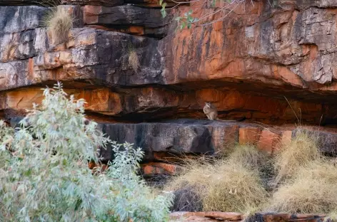 Home Valley Station - El Questro Wilderness Park