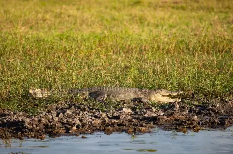 Nitmiluk - Cooinda - Yellow Water - Kakadu National Park
