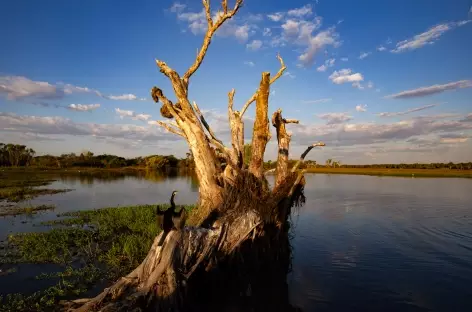 Nitmiluk - Cooinda - Yellow Water - Kakadu National Park
