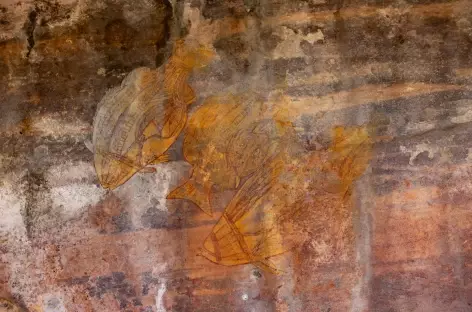 Kakadu National Park - Ubirr - Darwin