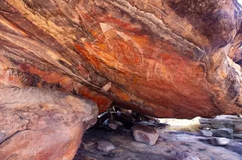 Kakadu National Park - Ubirr - Darwin