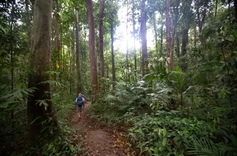 Port Douglas - Cape Tribulation