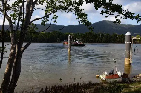 Port Douglas - Cape Tribulation