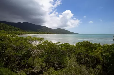Cape Tribulation