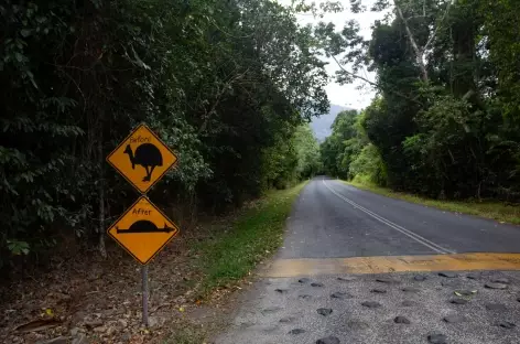 Cape Tribulation - Yungaburra