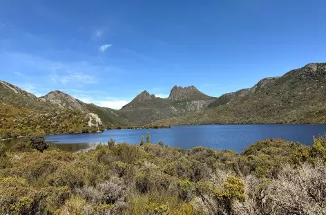 Tasmanie Craddle Mountains