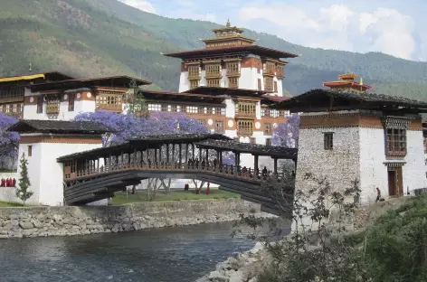 ¨Punukha - Bhoutan