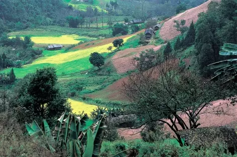 Couleurs du Bhoutan