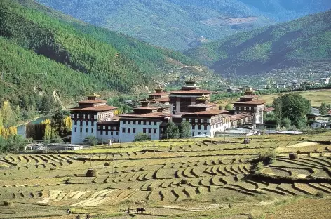 Dzong de Thimphu  - Bhoutan