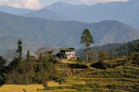 Paysage du Bhoutan