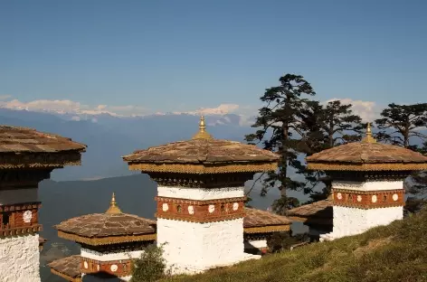 Vue du Dochu La  - Bhoutan - 