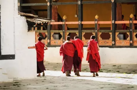 Moines au dzong de Paro - Bhoutan 