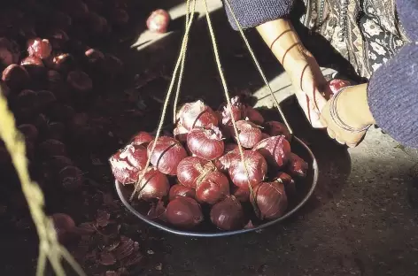 Vente d'oignons sur le marché de Thimphu - Bhoutan 