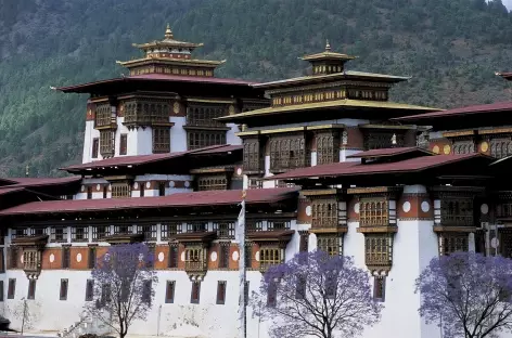 Thimphu - Bhoutan