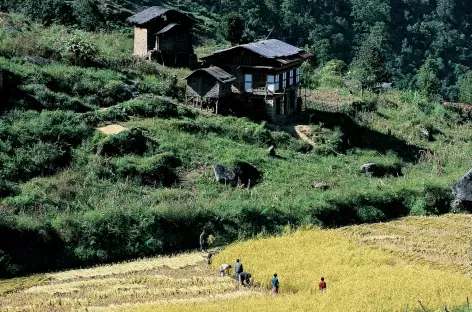 Descente vers Punakha - Bhoutan