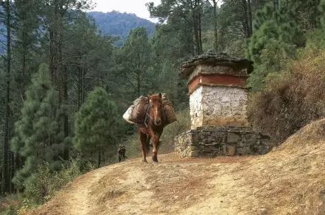 En balade ! - Bhoutan