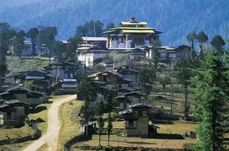 La vallée de Phobjika - Bhoutan