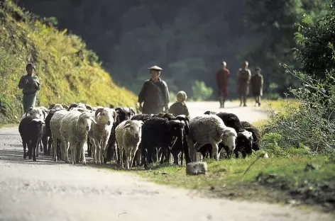 campagne bhoutanaise