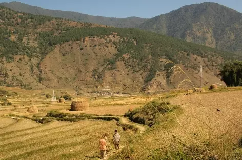 Vallée de Punakha  - Bhoutan