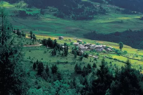 Paysage du Bhoutan au printemps