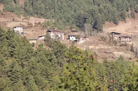 Gechu Lakhang  - Bhoutan