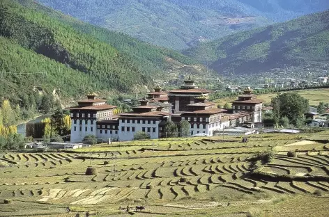 Le dzong de Thimphu parmi les rizières - Bhoutan