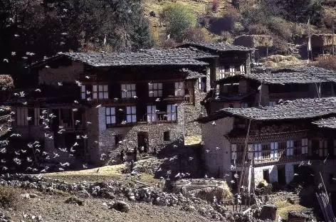 Village de Laya - Bhoutan