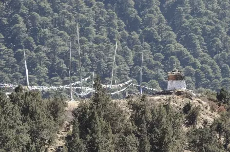 Stupa de De Jobi  - Bhoutan