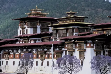 Dzong de Punakha - Bhoutan - 