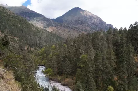 Vallée au dessus de Gasa- Bhoutan