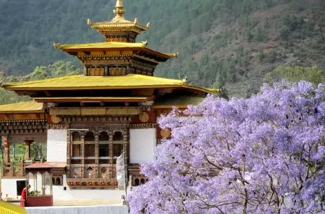 Chhimi Lhakang - Bhoutan