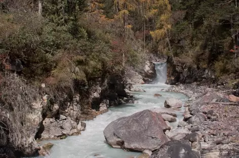 Vallée de la Paro Chu- Bhoutan