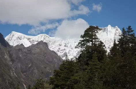 Montagne du Tigre - Bhoutan